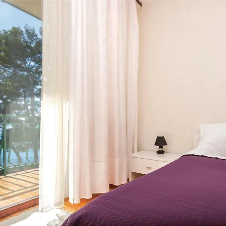 Pet Friendly In With Kitchen Apartman